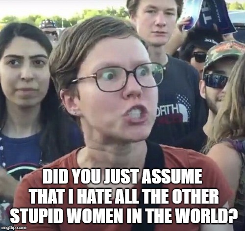 Triggered feminist | DID YOU JUST ASSUME THAT I HATE ALL THE OTHER STUPID WOMEN IN THE WORLD? | image tagged in triggered feminist | made w/ Imgflip meme maker