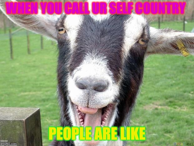 Funny Goat | WHEN YOU CALL UR SELF COUNTRY; PEOPLE ARE LIKE | image tagged in funny goat | made w/ Imgflip meme maker