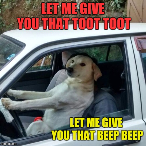 dog driving | LET ME GIVE YOU THAT TOOT TOOT; LET ME GIVE YOU THAT BEEP BEEP | image tagged in dog driving,memes,funny,dogs,let me give you that toot toot,beep beep | made w/ Imgflip meme maker