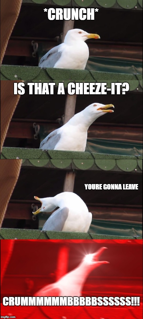 Inhaling Seagull Meme | *CRUNCH*; IS THAT A CHEEZE-IT? YOURE GONNA LEAVE; CRUMMMMMMBBBBBSSSSSS!!! | image tagged in memes,inhaling seagull | made w/ Imgflip meme maker