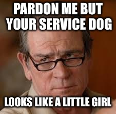 my face when someone asks a stupid question | PARDON ME BUT YOUR SERVICE DOG LOOKS LIKE A LITTLE GIRL | image tagged in my face when someone asks a stupid question | made w/ Imgflip meme maker