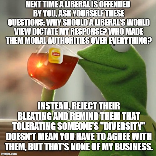 How Adults Act | NEXT TIME A LIBERAL IS OFFENDED BY YOU, ASK YOURSELF THESE QUESTIONS: WHY SHOULD A LIBERAL'S WORLD VIEW DICTATE MY RESPONSE? WHO MADE THEM MORAL AUTHORITIES OVER EVERYTHING? INSTEAD, REJECT THEIR BLEATING AND REMIND THEM THAT TOLERATING SOMEONE'S "DIVERSITY" DOESN'T MEAN YOU HAVE TO AGREE WITH THEM, BUT THAT'S NONE OF MY BUSINESS. | image tagged in memes,but thats none of my business,kermit the frog | made w/ Imgflip meme maker