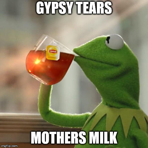 But That's None Of My Business Meme | GYPSY TEARS; MOTHERS MILK | image tagged in memes,but thats none of my business,kermit the frog | made w/ Imgflip meme maker