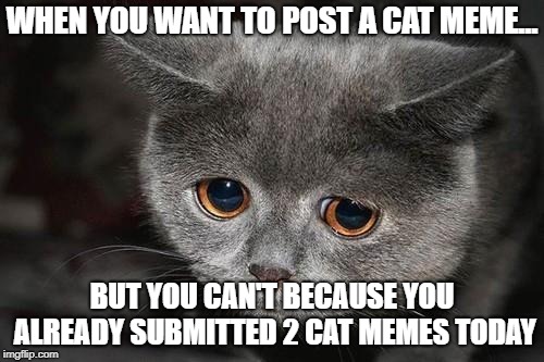 Stupid restrictions. | WHEN YOU WANT TO POST A CAT MEME... BUT YOU CAN'T BECAUSE YOU ALREADY SUBMITTED 2 CAT MEMES TODAY | image tagged in sad cat | made w/ Imgflip meme maker