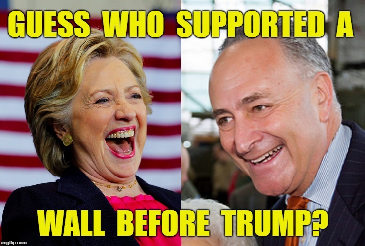 Immoral hypocrites on parade, reversing the positions they held after Trump is elected and trying to do what they said they want | image tagged in hillary,chuck schumer,illegal immigration,immigration,border wall | made w/ Imgflip meme maker