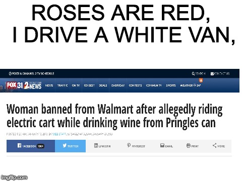 Blank White Template | ROSES ARE RED, I DRIVE A WHITE VAN, | image tagged in blank white template | made w/ Imgflip meme maker