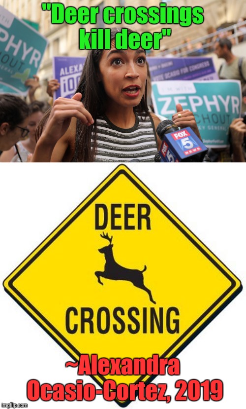 Alexandra Ocasio-Cortez  | "Deer crossings kill deer"; ~Alexandra Ocasio-Cortez, 2019 | image tagged in funny memes | made w/ Imgflip meme maker