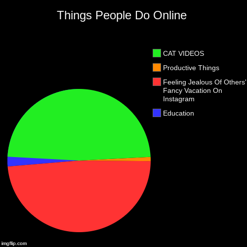 Things People Do Online | Education, Feeling Jealous Of Others' Fancy Vacation On Instagram, Productive Things, CAT VIDEOS | image tagged in funny,pie charts | made w/ Imgflip chart maker