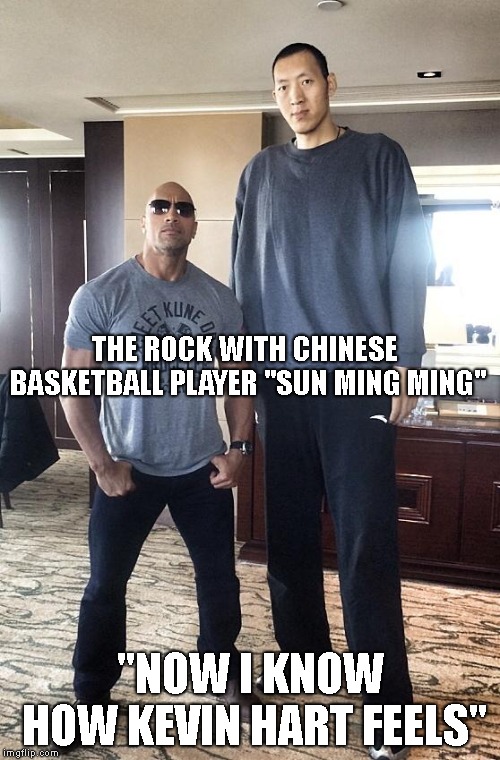 The Rock & Sun Ming Ming | THE ROCK WITH CHINESE BASKETBALL PLAYER "SUN MING MING"; "NOW I KNOW HOW KEVIN HART FEELS" | image tagged in dwayne the rock johnson,sun ming ming,chinese basketball player,kevin hart | made w/ Imgflip meme maker