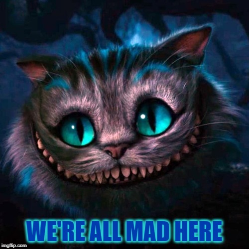 We're All Mad Here | WE'RE ALL MAD HERE | image tagged in we're all mad here | made w/ Imgflip meme maker