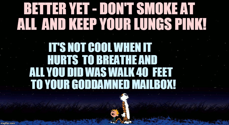 IT'S NOT COOL WHEN IT  HURTS  TO BREATHE AND ALL YOU DID WAS WALK 40  FEET   TO YOUR GO***MNED MAILBOX! BETTER YET - DON'T SMOKE AT  ALL  AN | made w/ Imgflip meme maker