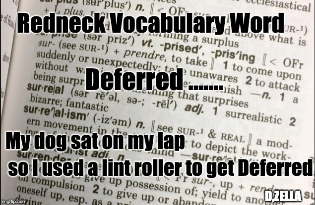 Redneck vocabulary word | Redneck Vocabulary Word; Deferred ....... My dog sat on my lap; so I used a lint roller to get Deferred; D,ZELLA | image tagged in hairy legs,play on words,redneck,funny memes | made w/ Imgflip meme maker