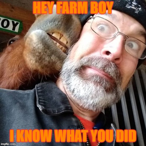 farm boy | HEY FARM BOY; I KNOW WHAT YOU DID | image tagged in funny meme | made w/ Imgflip meme maker