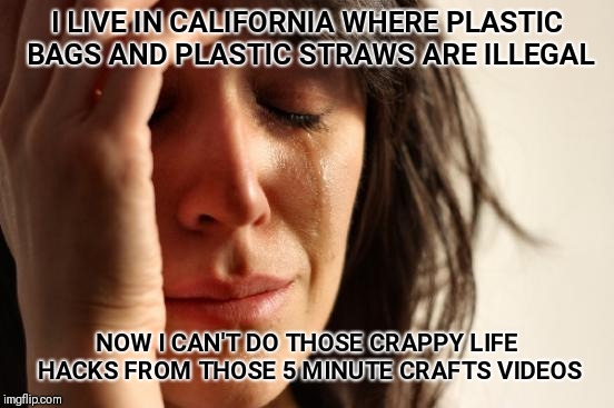 First World Problems Meme | I LIVE IN CALIFORNIA WHERE PLASTIC BAGS AND PLASTIC STRAWS ARE ILLEGAL; NOW I CAN'T DO THOSE CRAPPY LIFE HACKS FROM THOSE 5 MINUTE CRAFTS VIDEOS | image tagged in memes,first world problems | made w/ Imgflip meme maker