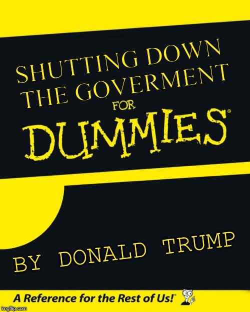 Seems appropriate | SHUTTING DOWN THE GOVERMENT; BY DONALD TRUMP | image tagged in for dummies,donald trump,government shutdown,government | made w/ Imgflip meme maker
