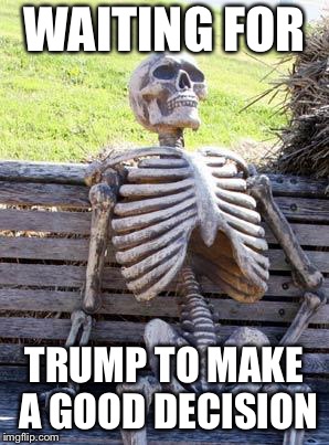 Waiting Skeleton Meme | WAITING FOR; TRUMP TO MAKE A GOOD DECISION | image tagged in memes,waiting skeleton | made w/ Imgflip meme maker