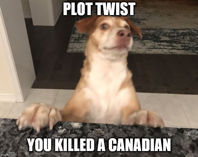 Plot twist | PLOT TWIST YOU KILLED A CANADIAN | image tagged in plot twist | made w/ Imgflip meme maker