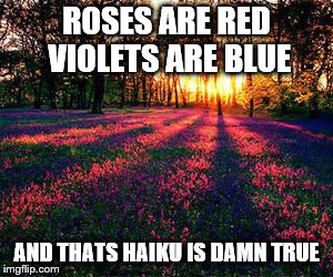 roses are red | ROSES ARE RED VIOLETS ARE BLUE AND THATS HAIKU IS DAMN TRUE | image tagged in roses are red | made w/ Imgflip meme maker