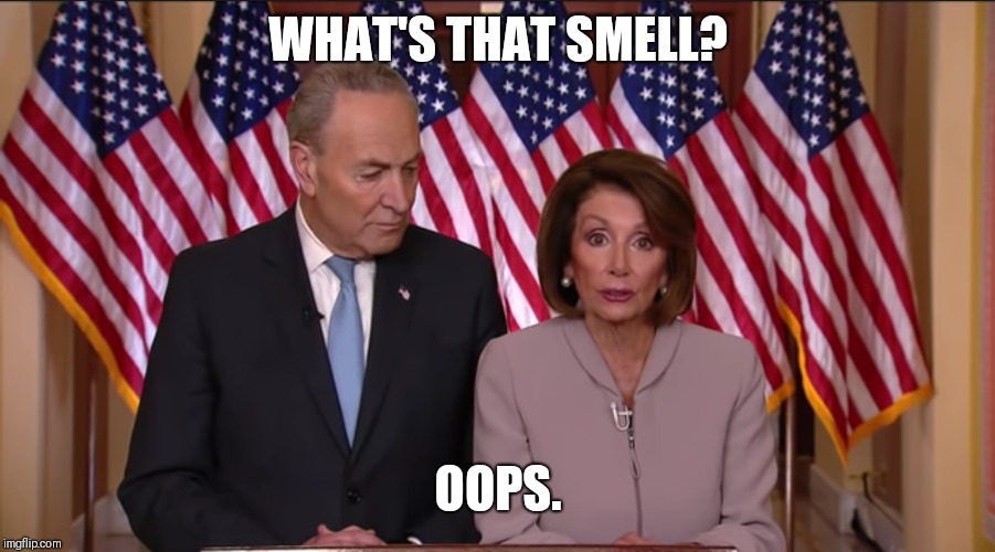 Chuck and Nancy | WHAT'S THAT SMELL? OOPS. | image tagged in politics,humor,maga | made w/ Imgflip meme maker