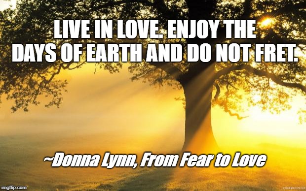 nature | LIVE IN LOVE. ENJOY THE DAYS OF EARTH AND DO NOT FRET. ~Donna Lynn, From Fear to Love | image tagged in nature | made w/ Imgflip meme maker