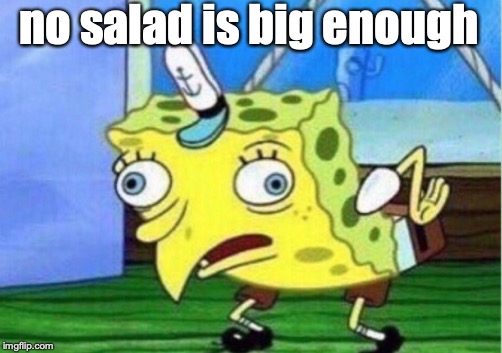 Mocking Spongebob Meme | no salad is big enough | image tagged in memes,mocking spongebob | made w/ Imgflip meme maker