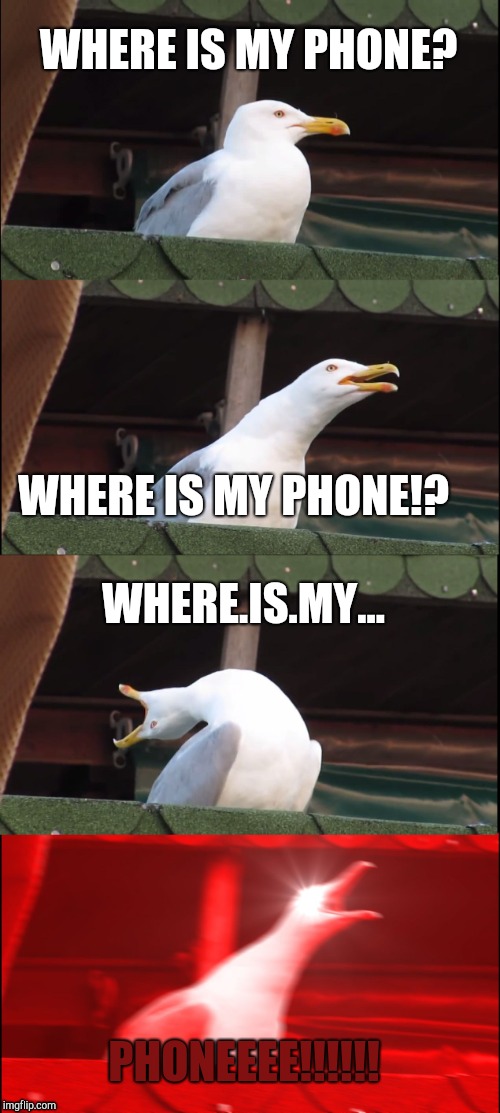 Where is it!? | WHERE IS MY PHONE? WHERE IS MY PHONE!? WHERE.IS.MY... PHONEEEE!!!!!! | image tagged in memes,inhaling seagull | made w/ Imgflip meme maker
