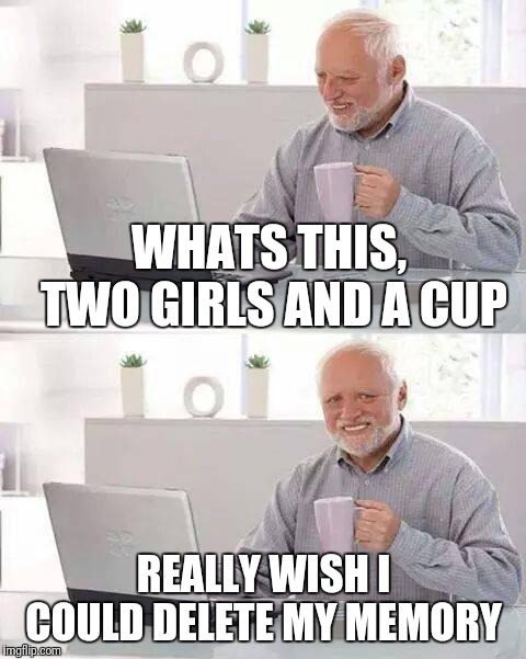 Hide the Pain Harold | WHATS THIS, TWO GIRLS AND A CUP; REALLY WISH I COULD DELETE MY MEMORY | image tagged in memes,hide the pain harold | made w/ Imgflip meme maker