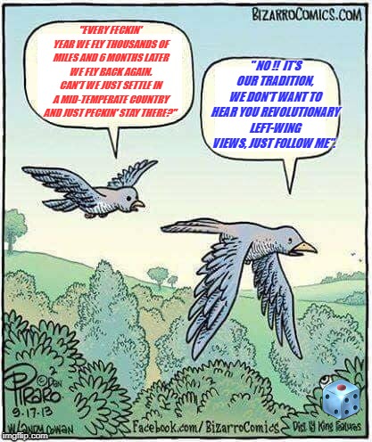 Migrating Birds? | "EVERY FECKIN' YEAR WE FLY THOUSANDS OF MILES AND 6 MONTHS LATER WE FLY BACK AGAIN. CAN'T WE JUST SETTLE IN A MID-TEMPERATE COUNTRY AND JUST PECKIN' STAY THERE?"; " NO !!  IT'S OUR TRADITION, WE DON'T WANT TO HEAR YOU REVOLUTIONARY LEFT-WING VIEWS, JUST FOLLOW ME". | image tagged in migrating birds | made w/ Imgflip meme maker