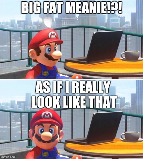 big fat meanie mario version | BIG FAT MEANIE!?! AS IF I REALLY LOOK LIKE THAT | image tagged in mario looks at computer | made w/ Imgflip meme maker