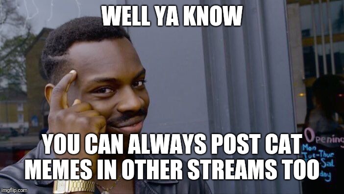 Roll Safe Think About It Meme | WELL YA KNOW YOU CAN ALWAYS POST CAT MEMES IN OTHER STREAMS TOO | image tagged in memes,roll safe think about it | made w/ Imgflip meme maker