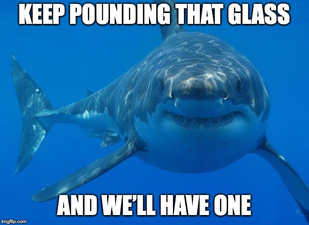 Straight White Shark | KEEP POUNDING THAT GLASS AND WE’LL HAVE ONE | image tagged in straight white shark | made w/ Imgflip meme maker