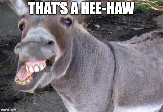 THAT’S A HEE-HAW | made w/ Imgflip meme maker