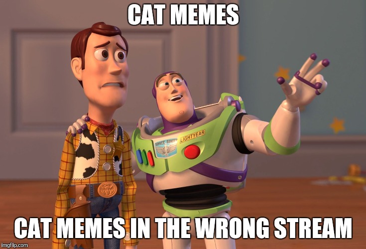 X, X Everywhere Meme | CAT MEMES CAT MEMES IN THE WRONG STREAM | image tagged in memes,x x everywhere | made w/ Imgflip meme maker