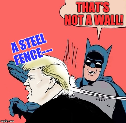 Batman slaps Trump | THAT'S NOT A WALL! A STEEL FENCE--- | image tagged in batman slaps trump | made w/ Imgflip meme maker