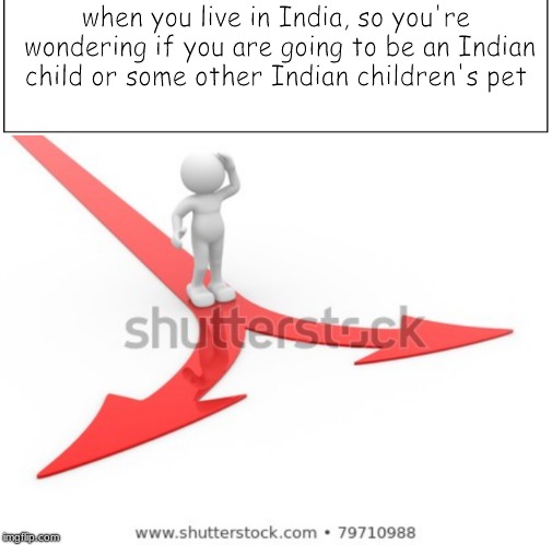 when you live in India, so you're wondering if you are going to be an Indian child or some other Indian children's pet | image tagged in india | made w/ Imgflip meme maker