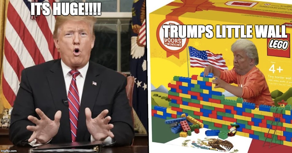 The one thing you have..... | TRUMPS LITTLE WALL; ITS HUGE!!!! | image tagged in donald trump wall | made w/ Imgflip meme maker