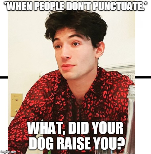punctuate | *WHEN PEOPLE DON'T PUNCTUATE.*; WHAT, DID YOUR DOG RAISE YOU? | image tagged in punctuation,dog | made w/ Imgflip meme maker
