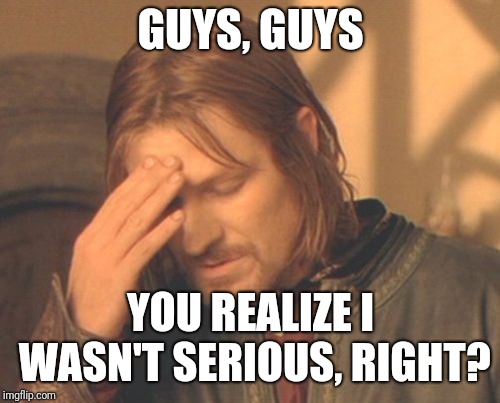 Frustrated Boromir Meme | GUYS, GUYS YOU REALIZE I WASN'T SERIOUS, RIGHT? | image tagged in memes,frustrated boromir | made w/ Imgflip meme maker