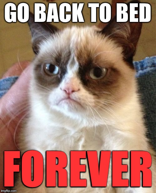 Grumpy Cat Meme | GO BACK TO BED FOREVER | image tagged in memes,grumpy cat | made w/ Imgflip meme maker