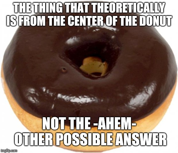 chocolate doughnut | THE THING THAT THEORETICALLY IS FROM THE CENTER OF THE DONUT NOT THE -AHEM- OTHER POSSIBLE ANSWER | image tagged in chocolate doughnut | made w/ Imgflip meme maker