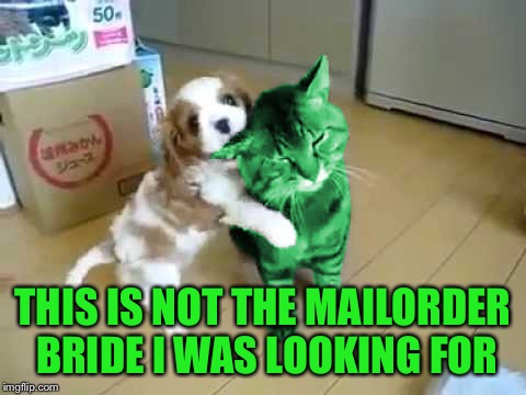 Dog Biting RayCat Ear | THIS IS NOT THE MAILORDER BRIDE I WAS LOOKING FOR | image tagged in dog biting raycat ear | made w/ Imgflip meme maker