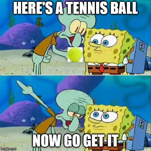 Talk To Spongebob | HERE'S A TENNIS BALL; NOW GO GET IT | image tagged in memes,talk to spongebob | made w/ Imgflip meme maker