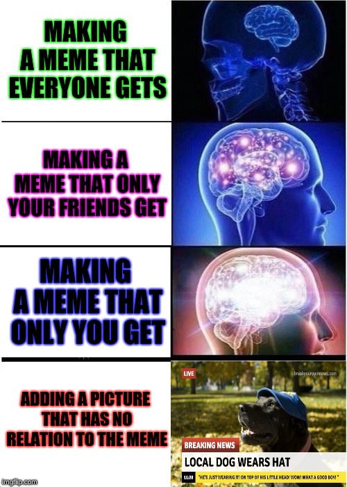 Expanding Brain |  MAKING A MEME THAT EVERYONE GETS; MAKING A MEME THAT ONLY YOUR FRIENDS GET; MAKING A MEME THAT ONLY YOU GET; ADDING A PICTURE THAT HAS NO RELATION TO THE MEME | image tagged in memes,expanding brain | made w/ Imgflip meme maker