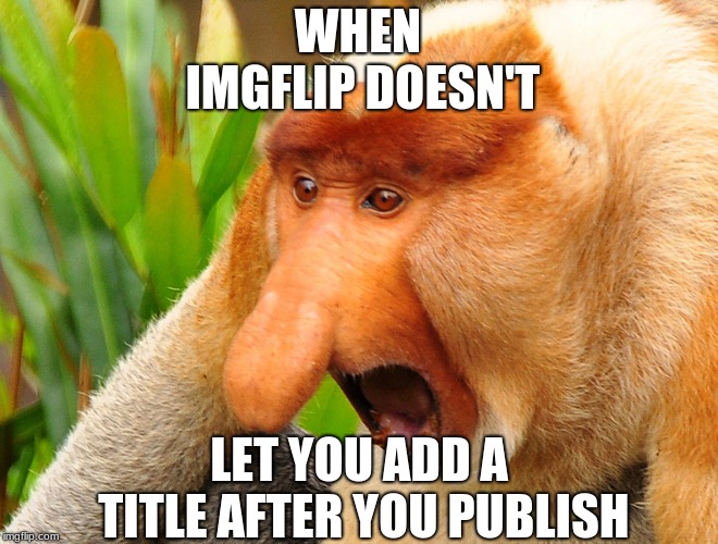 WHEN IMGFLIP DOESN'T LET YOU ADD A TITLE AFTER YOU PUBLISH |  WHEN IMGFLIP DOESN'T; LET YOU ADD A TITLE AFTER YOU PUBLISH | image tagged in janusz monkey screaming,when imgflip doesn't let you add a title after you publish | made w/ Imgflip meme maker