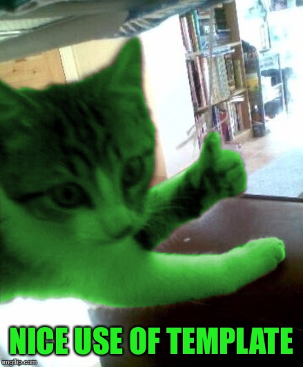 thumbs up RayCat | NICE USE OF TEMPLATE | image tagged in thumbs up raycat | made w/ Imgflip meme maker