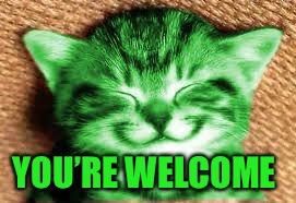 happy RayCat | YOU’RE WELCOME | image tagged in happy raycat | made w/ Imgflip meme maker