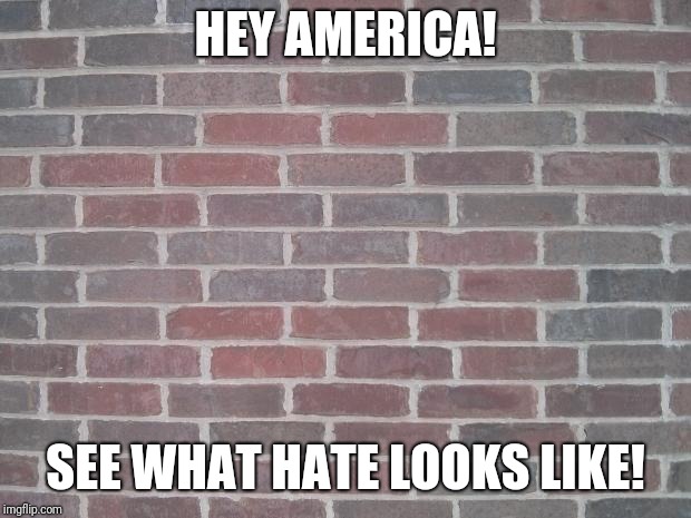 The Wall | HEY AMERICA! SEE WHAT HATE LOOKS LIKE! | image tagged in the wall | made w/ Imgflip meme maker