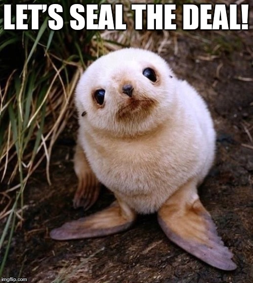 LET’S SEAL THE DEAL! | made w/ Imgflip meme maker