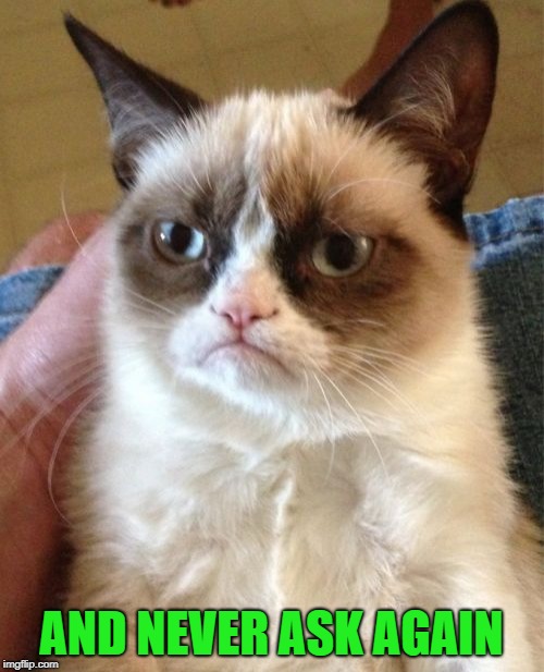 Grumpy Cat Meme | AND NEVER ASK AGAIN | image tagged in memes,grumpy cat | made w/ Imgflip meme maker