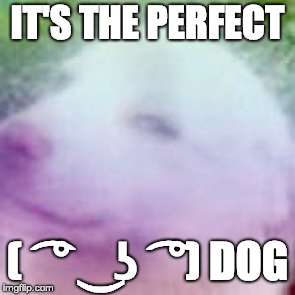 Lil smonky | IT'S THE PERFECT ( ͡° ͜ʖ ͡°) DOG | image tagged in lil smonky | made w/ Imgflip meme maker
